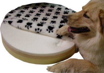 dog with pet-pedic orthopedic pet bed